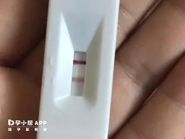 验孕没反应可能是着床失败