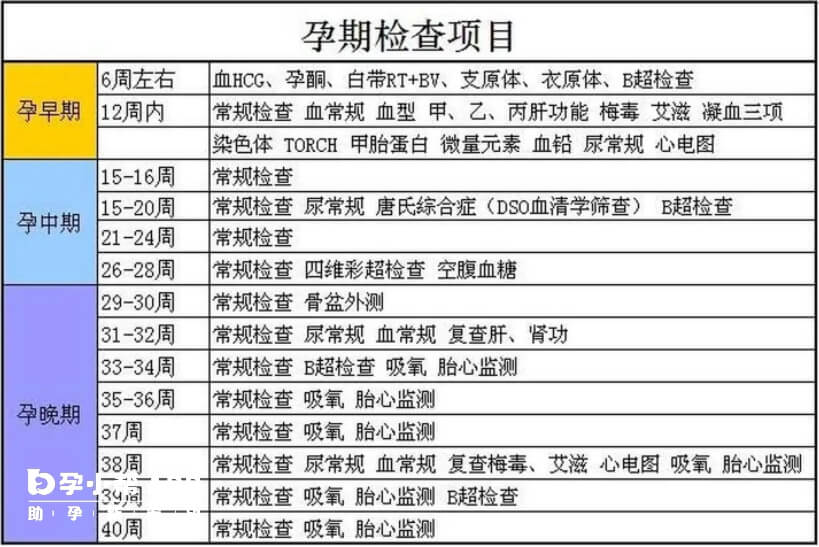 建档产检检查项目