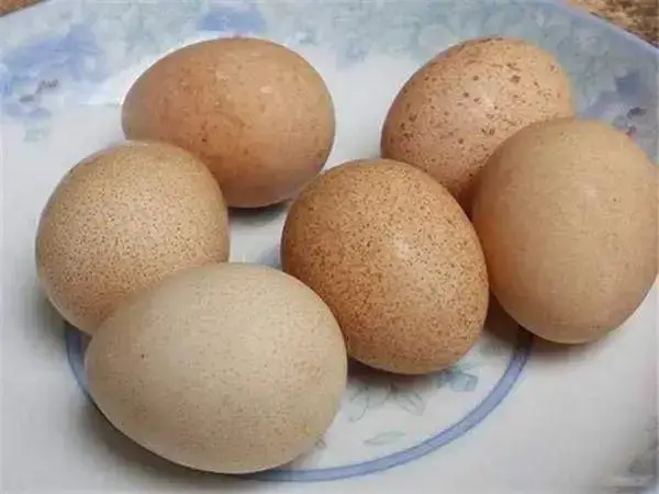 鸡蛋中富含蛋白质有助于提高身体免疫力