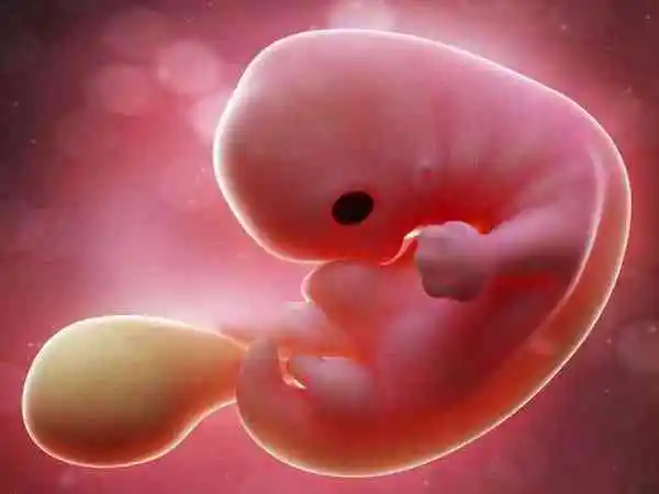 辐射环境生活会导致胚胎染色体异常