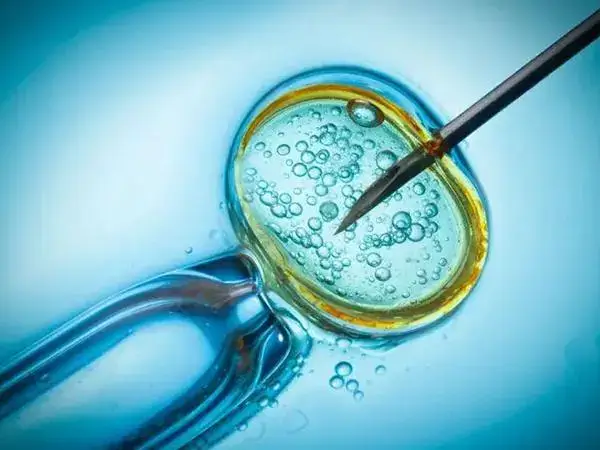 卵巢功能不佳的患者可以选择微刺激方案