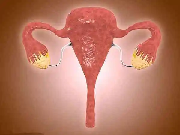 多囊卵巢怀孕后注意按时产检