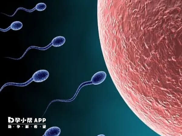精子不液化会导致男性不育