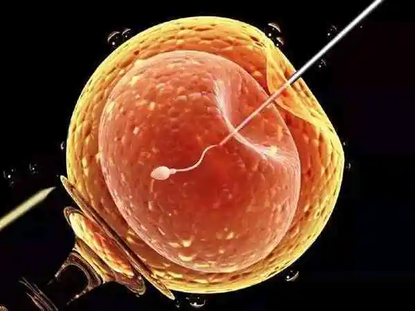 做试管能不通过输卵管受精也能怀孕