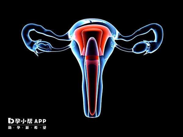 宫腔粘连会对女性的生育能力造成影响