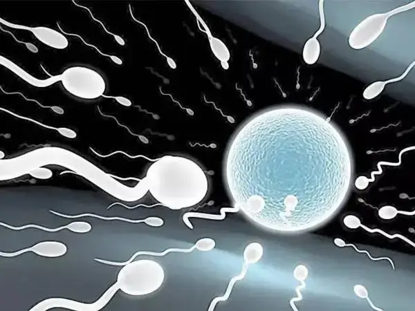 三代试管婴儿能筛选出健康高质量的胚胎