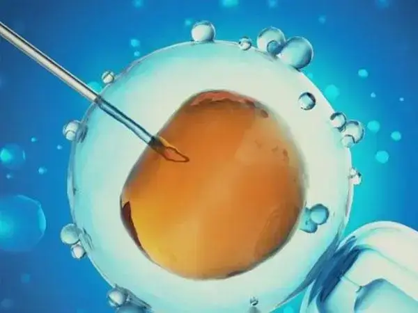 胚胎冷冻只是让细胞停止运动