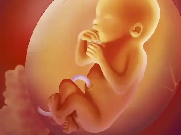 导致新生儿出现呼吸急促原因很多