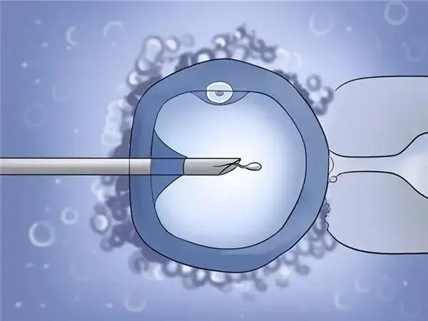 打促排卵针后可以促进卵泡成熟