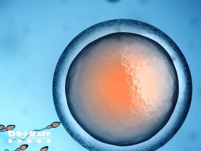 胚胎着床可能会有出血的症状出现