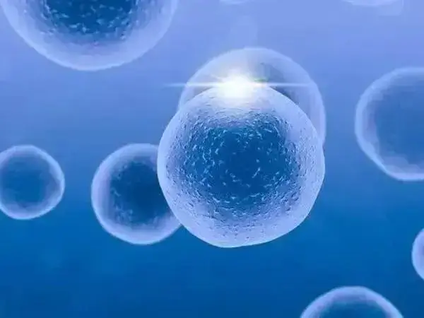 基础卵泡过多可能是卵巢过度刺激了