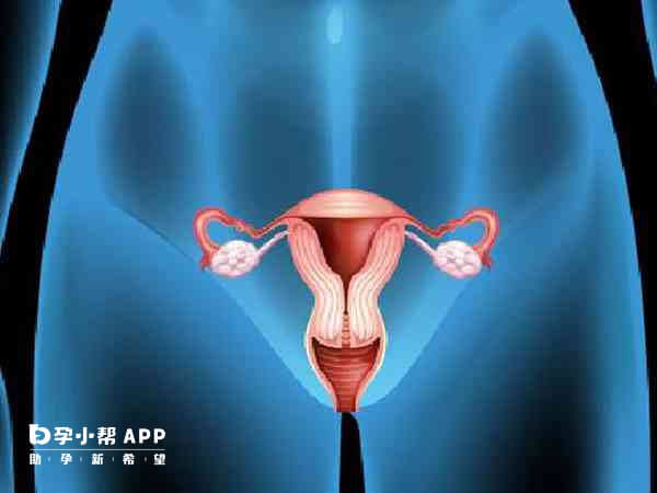 宫腔灌注能够促进子宫内膜的生长