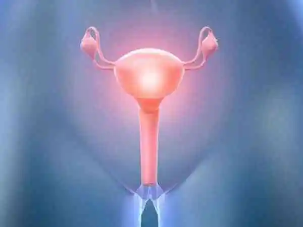 宫腔镜检查可以用来诊断宫腔内异物
