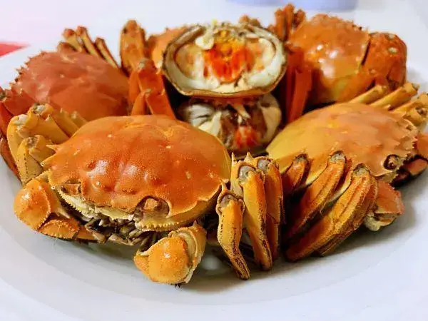 不能多吃螃蟹不然可能会影响肠胃不适