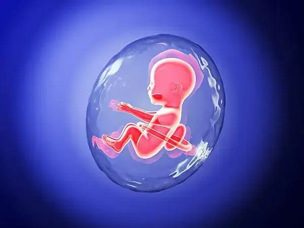 胚胎移植后要注意观察自己的身体情况