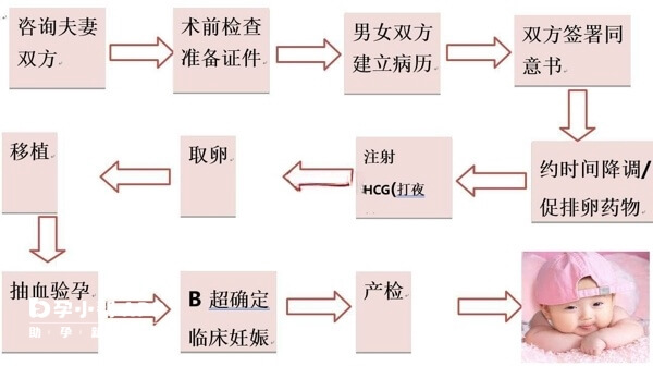 试管婴儿治疗流程图