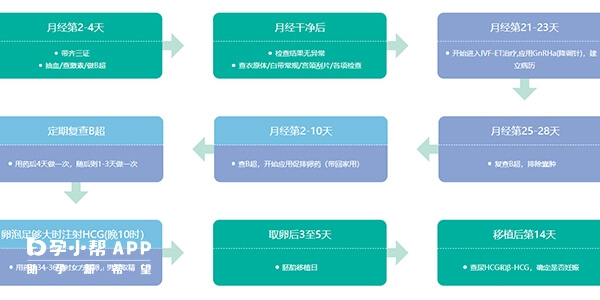 试管婴儿助孕流程图