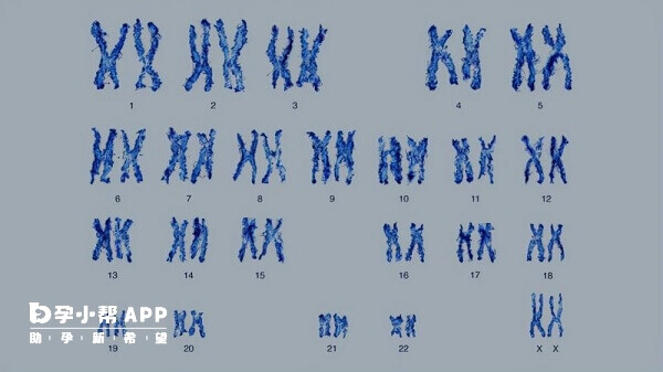 染色体异位能做三代试管筛查