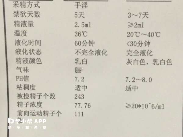 精液检查的项目