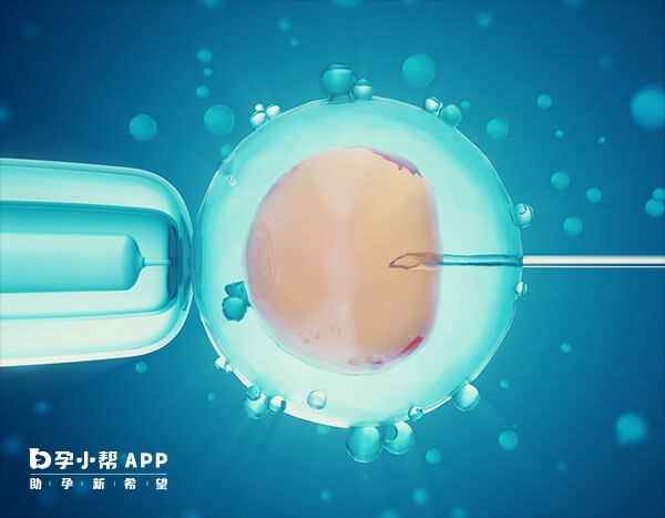 鲜胚移植对身体要求高