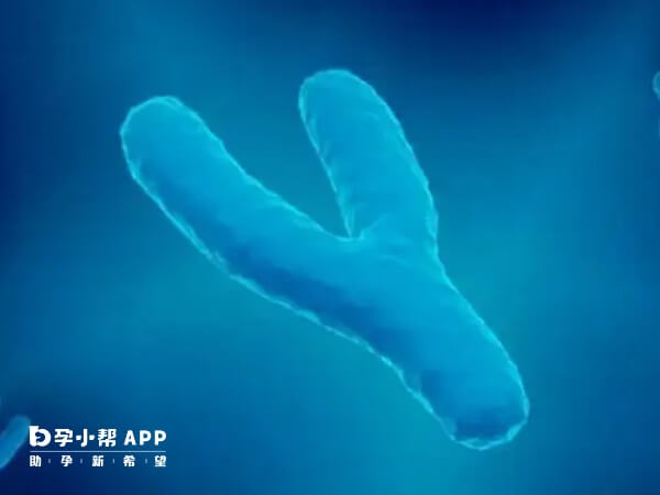 y染色体azfc微缺失可能传给男孩