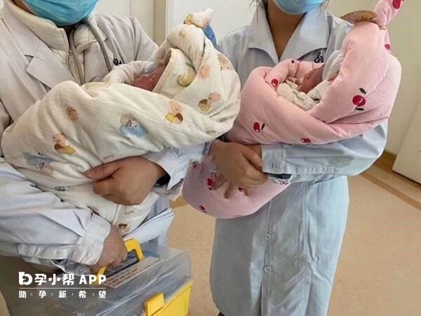 试管婴儿双胞胎概率高