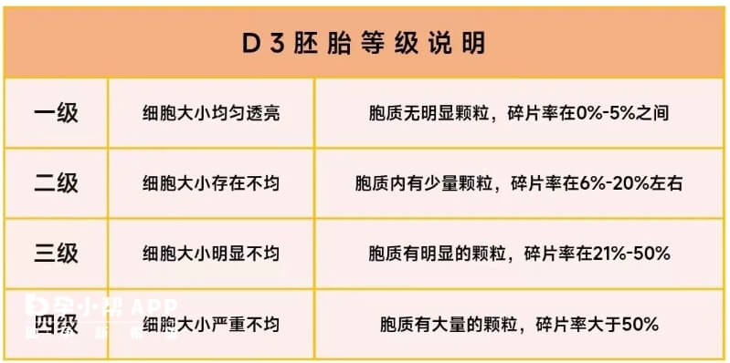 胚胎等级说明