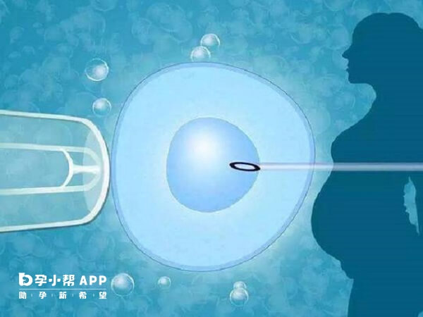 秦皇岛妇幼和人民医院均可开展辅助生殖技术