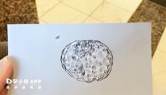 胚胎质量是影响胚胎冷冻解冻效果