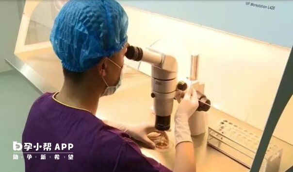 经衡水市人民医院生殖医学科