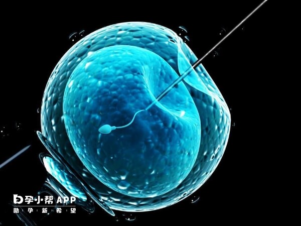 二代试管婴儿的成功率在50%以上