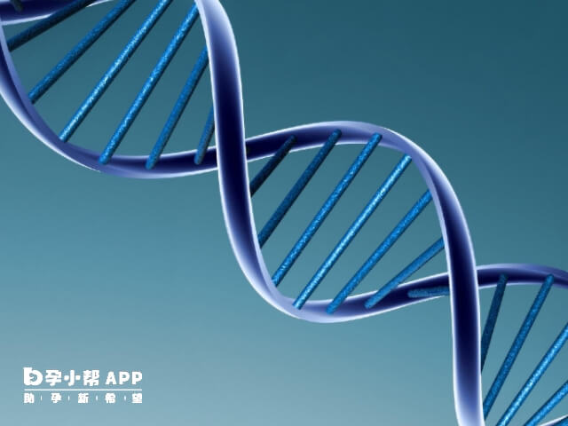 再婚夫妻没有共同生育过子女的家庭可做试管
