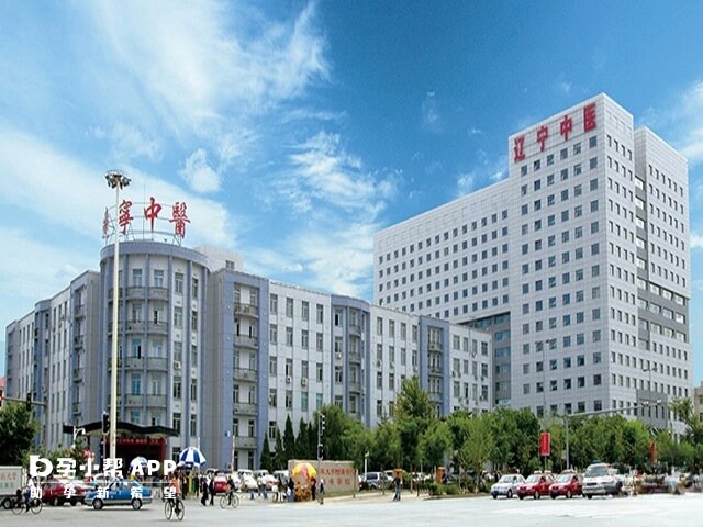 辽宁中医药大学附属医院