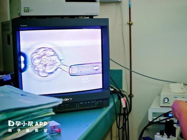 4a4aa是质量最高的囊胚类型