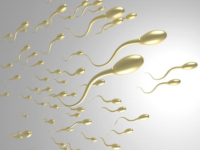 检查精子碎片率挂什么科？男科还是辅助生殖科？