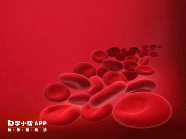 红细胞是血常规中最重要三项指标之一