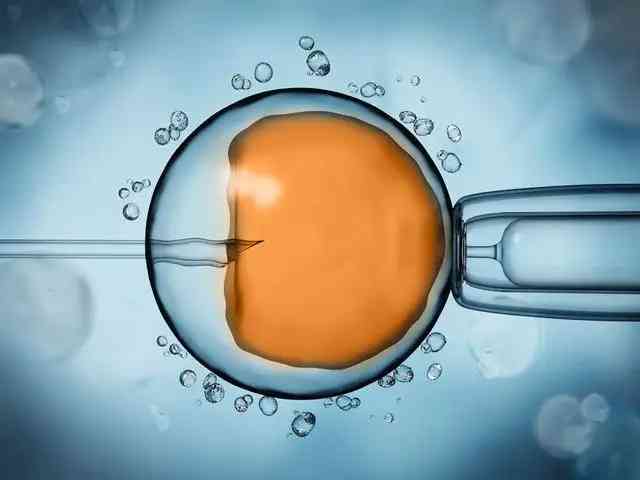 养囊胚是几代试管婴儿？一代可以养吗？