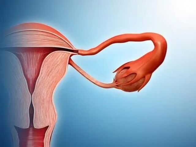子宫内膜三线型是降调成功了的意思吗？