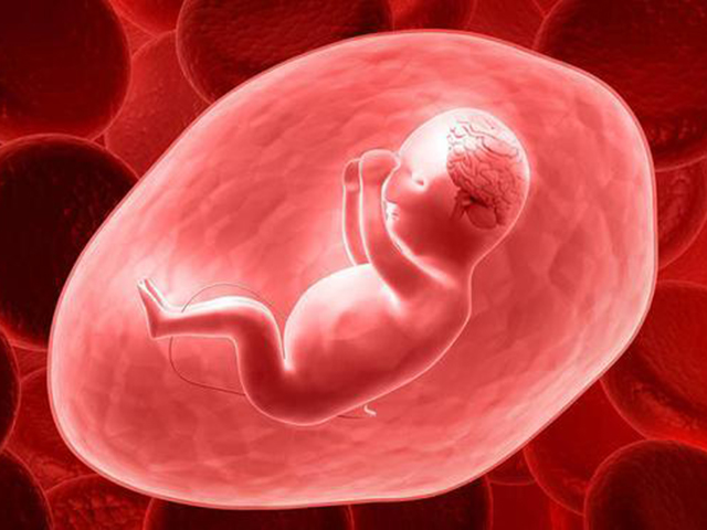 胚胎发育跟什么有关系？发育异常的主要原因是什么？