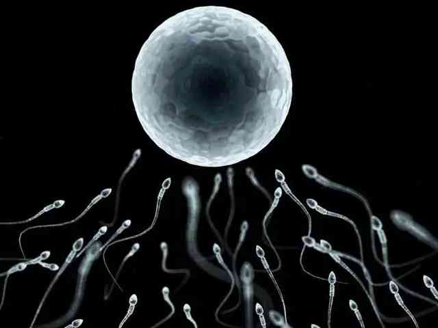 重度弱精精子活力低可以做人工受孕来生孩子吗？