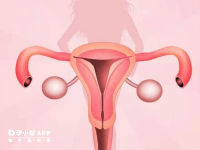 宫颈粘液观察法是自然避孕方法