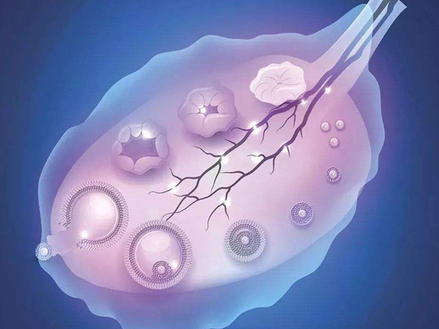 窦卵泡少代表卵巢功能不好还能自然怀孕吗？