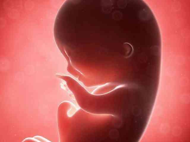 孕早期用糖皮质激素对胎儿生长发育会有影响吗？