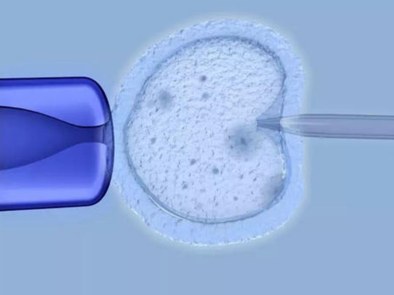 什么级别的鲜胚质量好移植成功率高？
