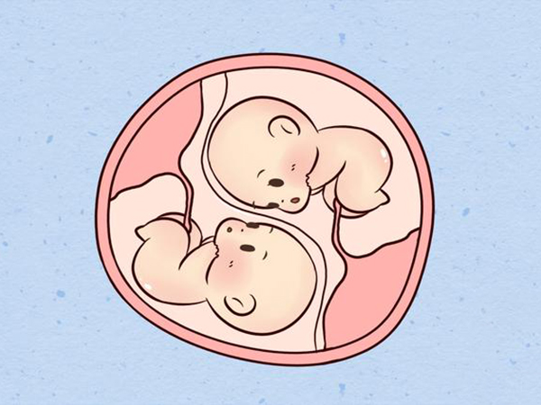 在承德公立医院做试管婴儿生双胞胎，费用大约要多少？