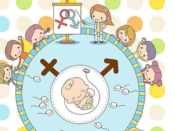 在晋中私立的妇产医院做试管婴儿能确定男女孩吗？