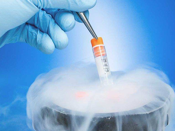 内蒙古附属医院试管胚胎冷冻保存费按年还是按月计算的？