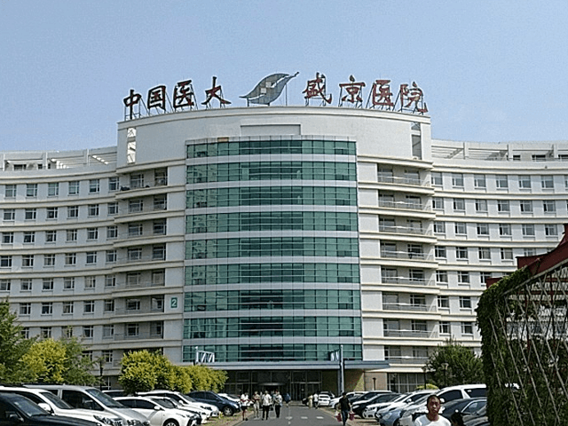 铁西滑翔盛京医院图片