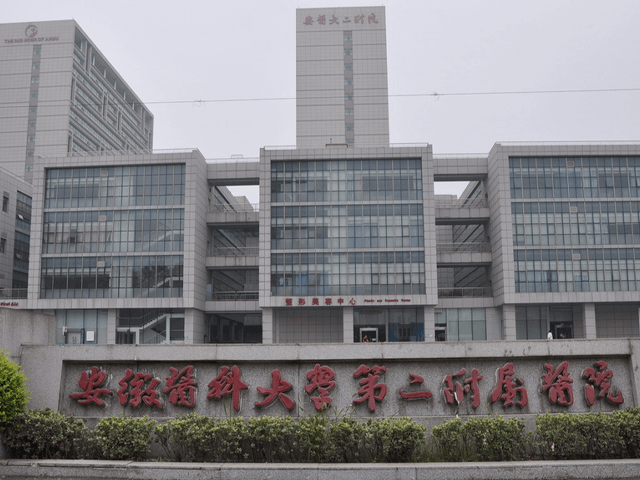安徽省第二人民医院