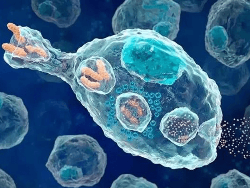 nk细胞免疫疗法